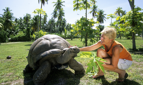 Activity. Tortoise with person on Bird Island Seychelles