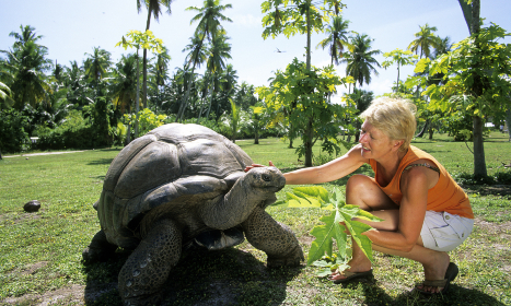 Tortoise and person on Bird Island Seychelles